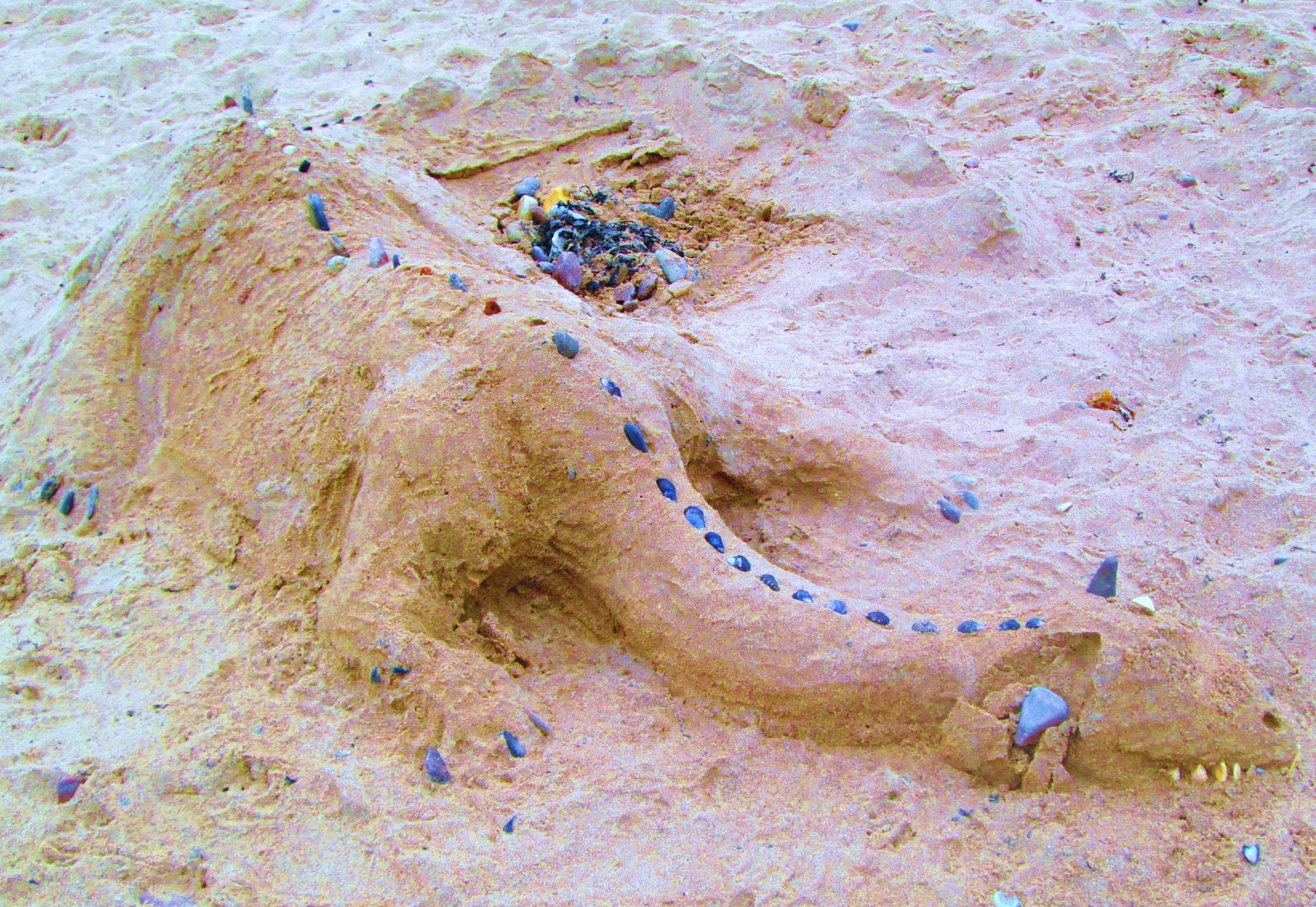 Sea Dragon Castle
